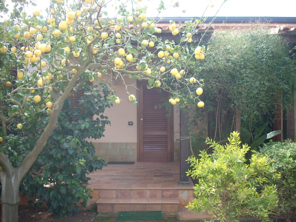 Villette nell'agrumeto Agriturismo Ferro Borgo Campana