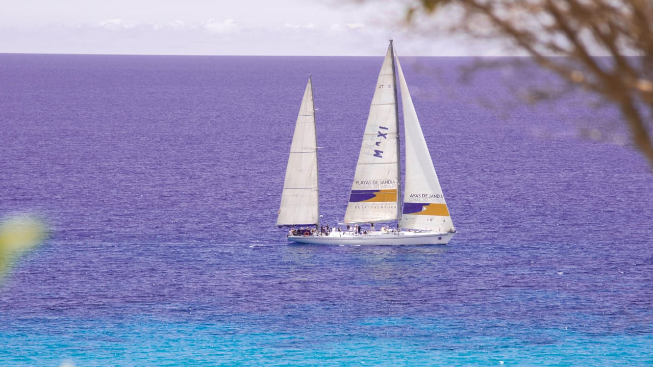 Sonstiges Marina Playa Suite Hotel