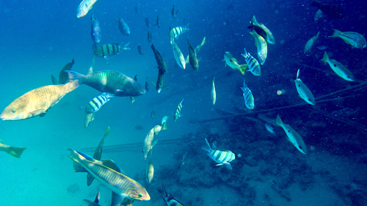 Sport & Freizeit Stella Beach Resort & Spa Makadi Bay