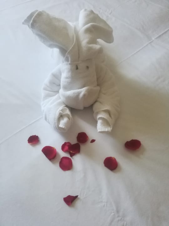 Zimmer TUI BLUE Oceanis Beach and Spa Resort