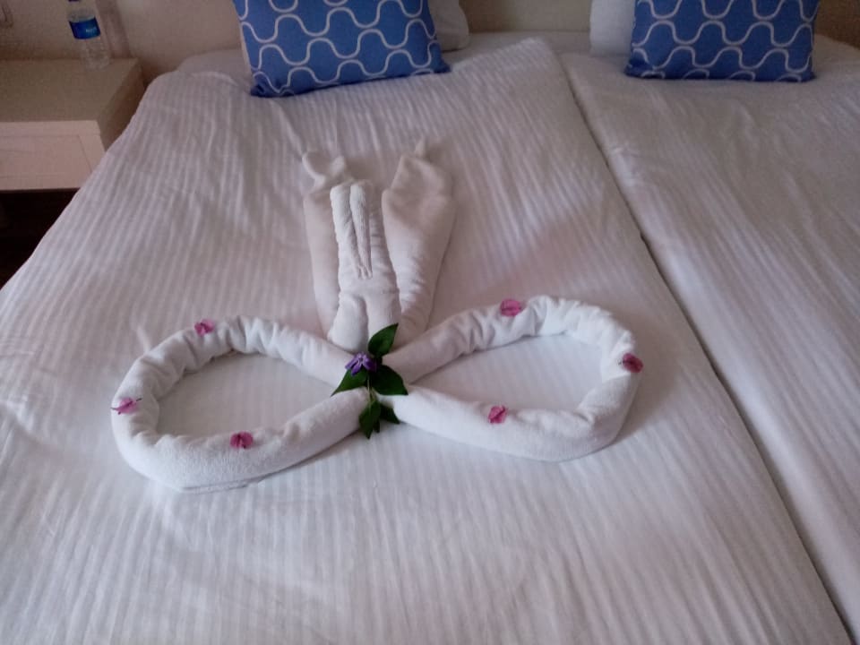 Zimmer Asteria Family Resort Side