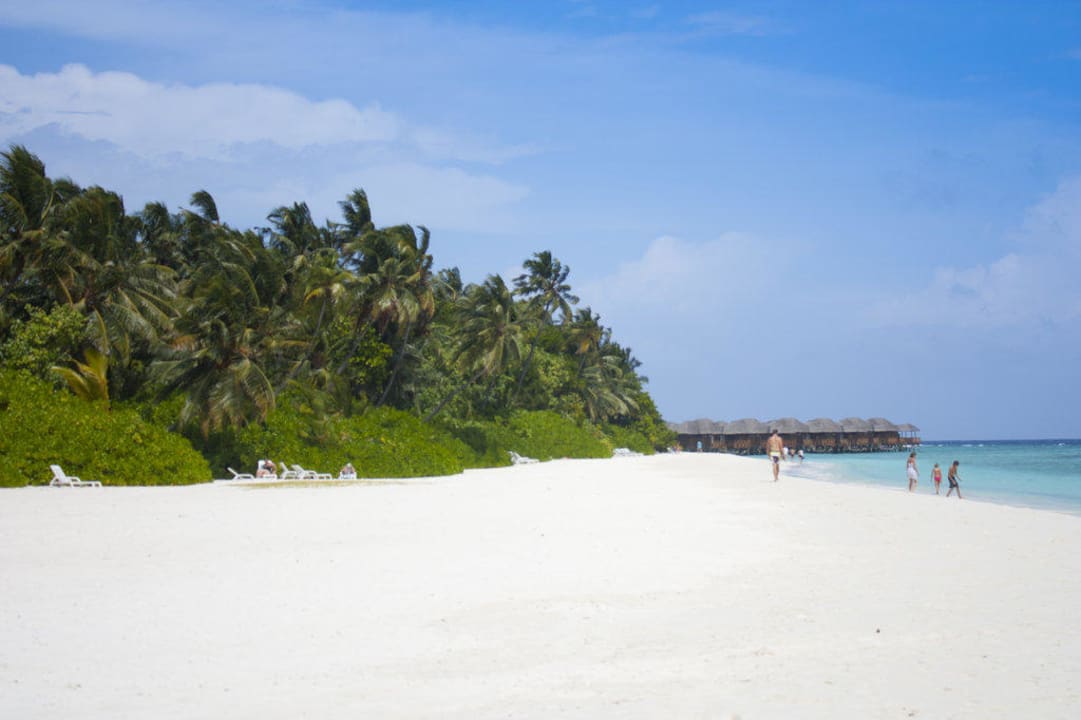 Traumhafter Strand Fihalhohi Maldives