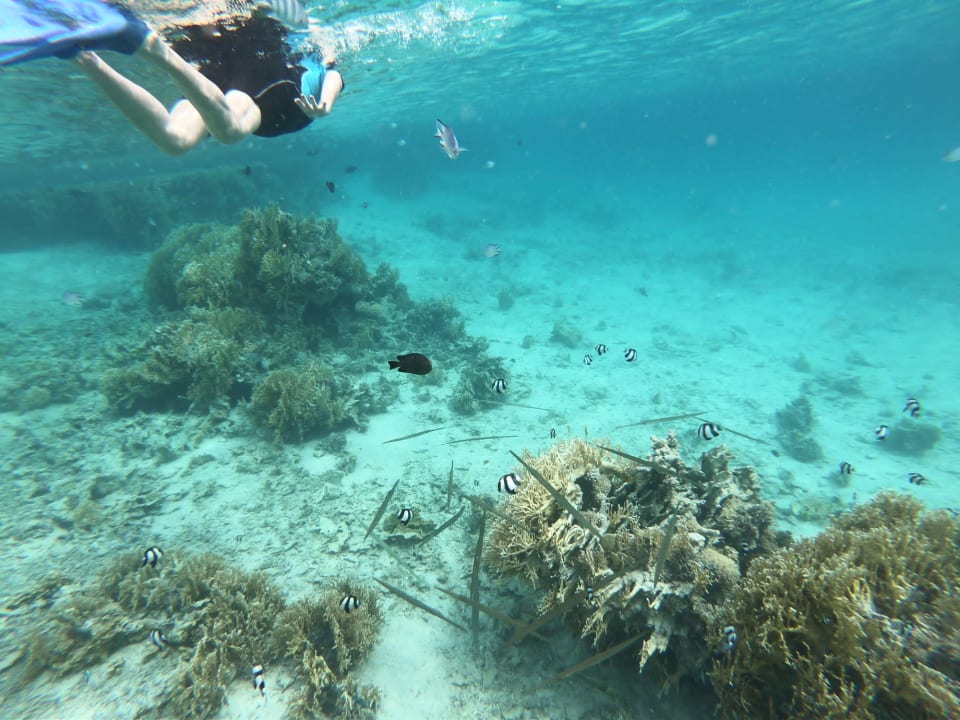 Sport & Freizeit Swisstouch Oriental Resort Marsa Alam