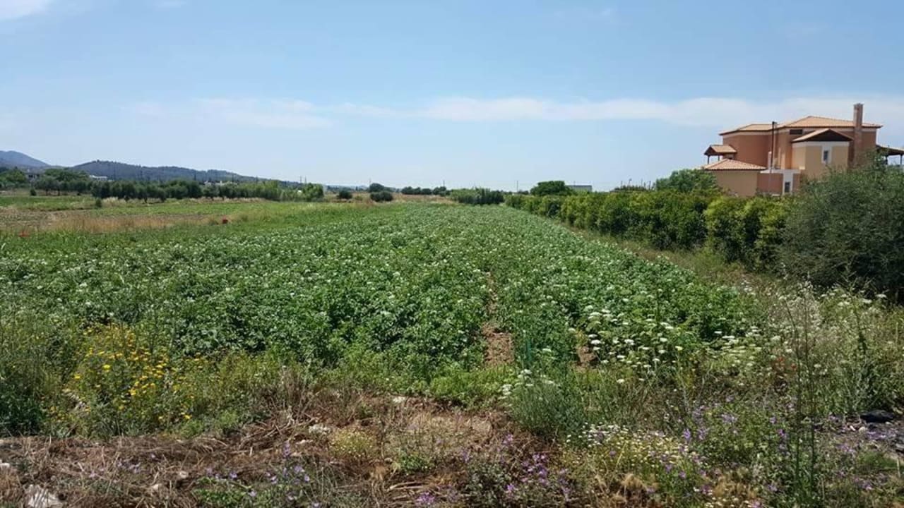 Farmming Ilios K Village Resort