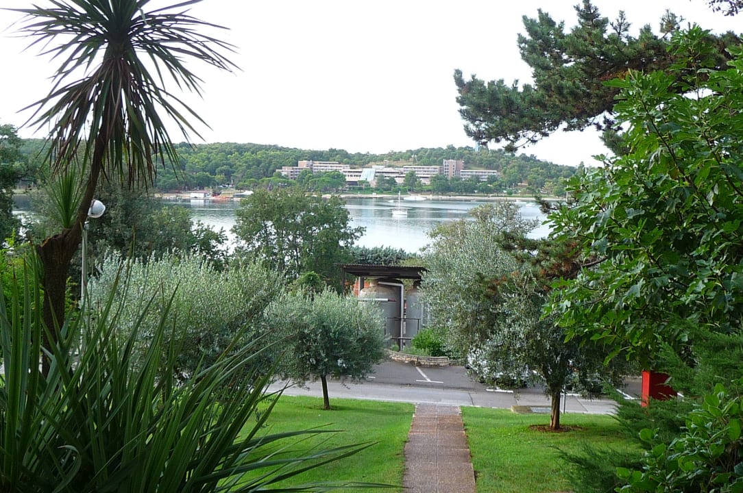 Ausblick Apartments Bellevue Plava Laguna