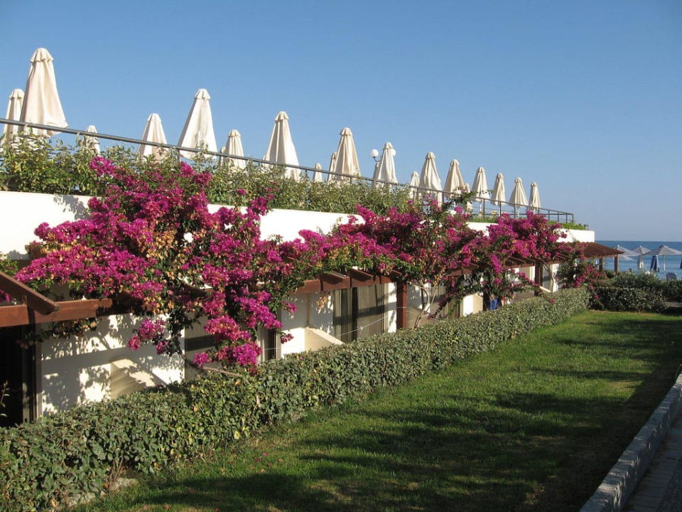 Leben unterm Pool Hydramis Palace Beach Resort