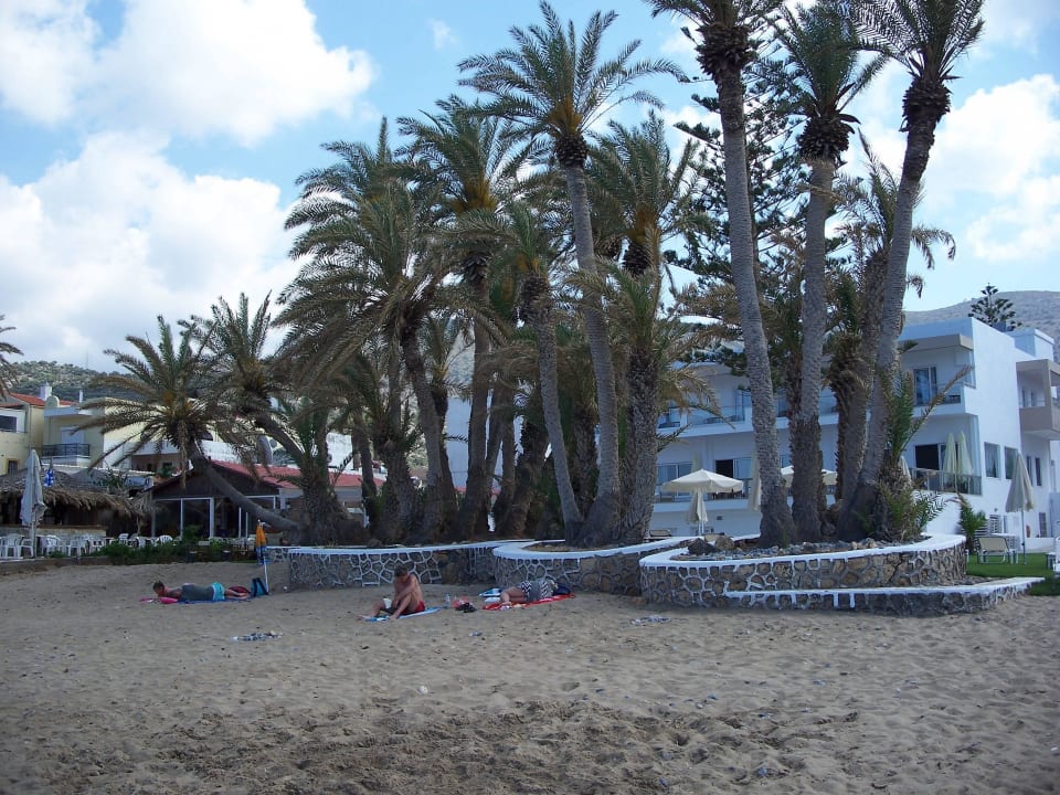 Nicht überlaufen  Zeus Hotels Palm Beach