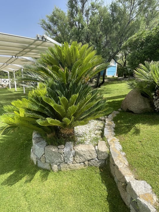 Gartenanlage Hotel Stella Maris