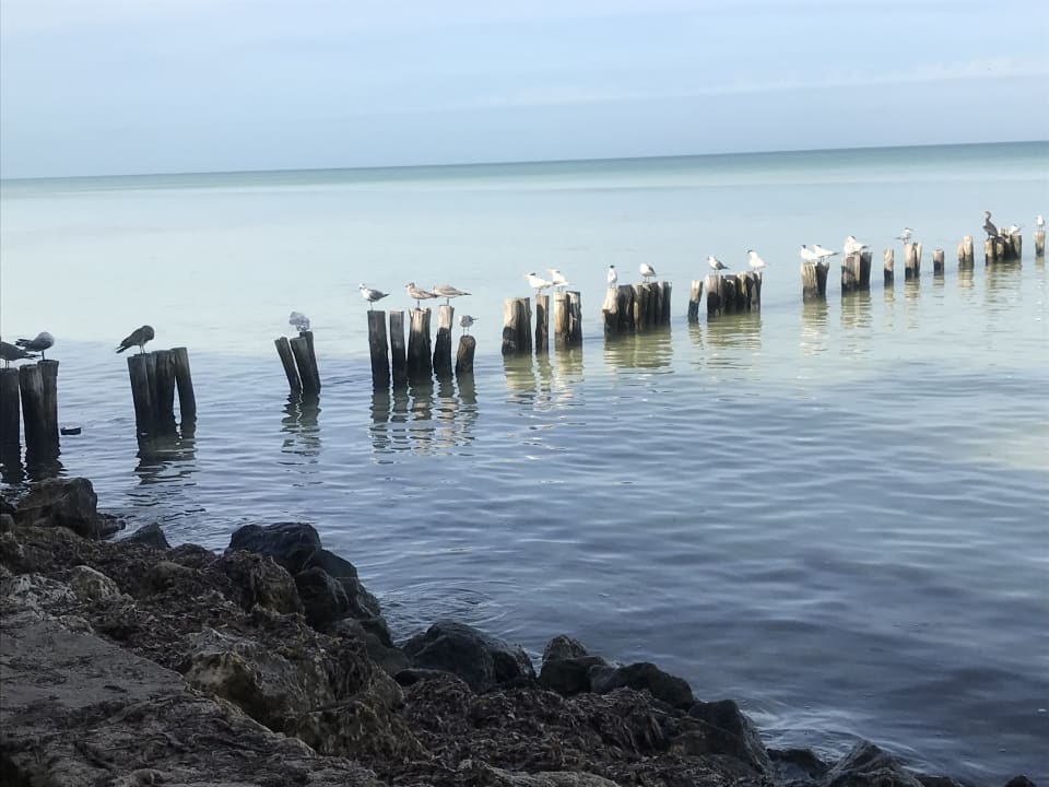 Strand Hotel Villas Flamingos