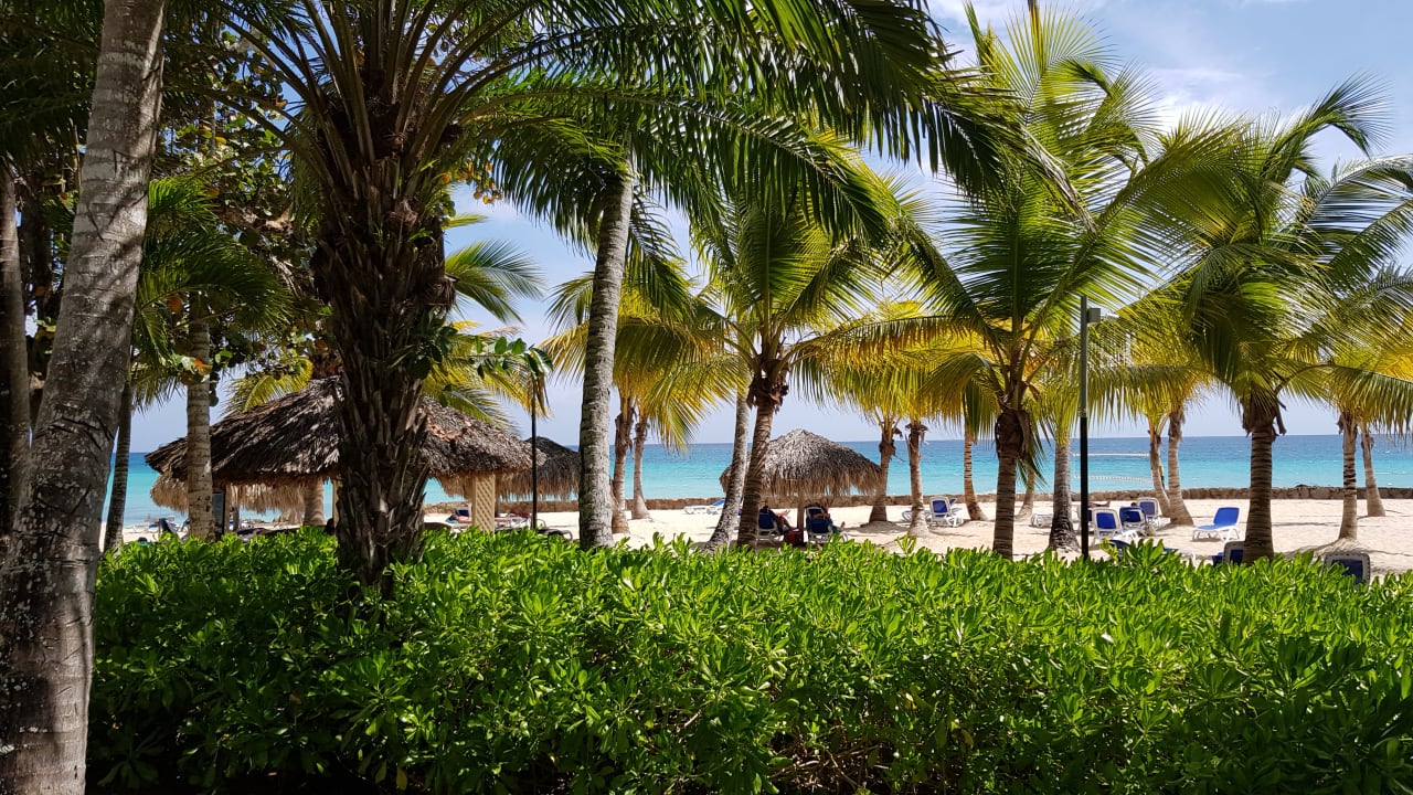 Strand Hotel Viva Dominicus Palace by Wyndham-All Inclusive Resort