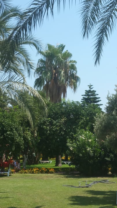 Gartenanlage Seher Kumköy Star Resort & Spa