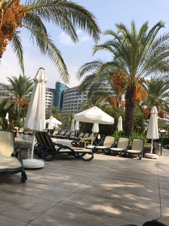 Sonstiges Royal Wings Hotel