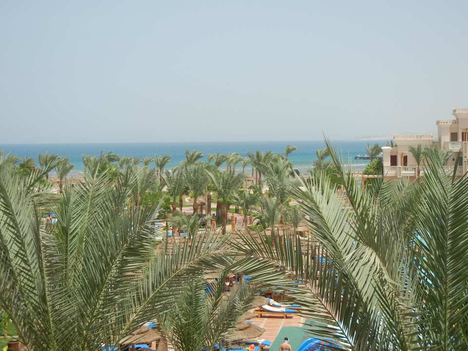 Meerblick Pickalbatros Palace Resort