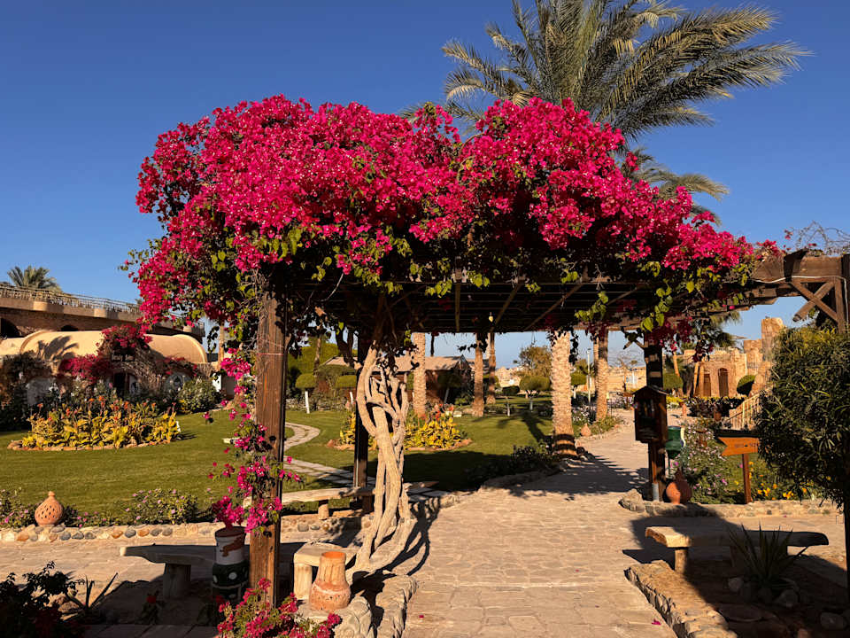 Gartenanlage Utopia Beach Club