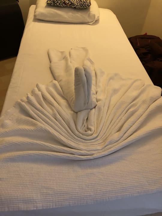 Zimmer Hotel Orfeus Park