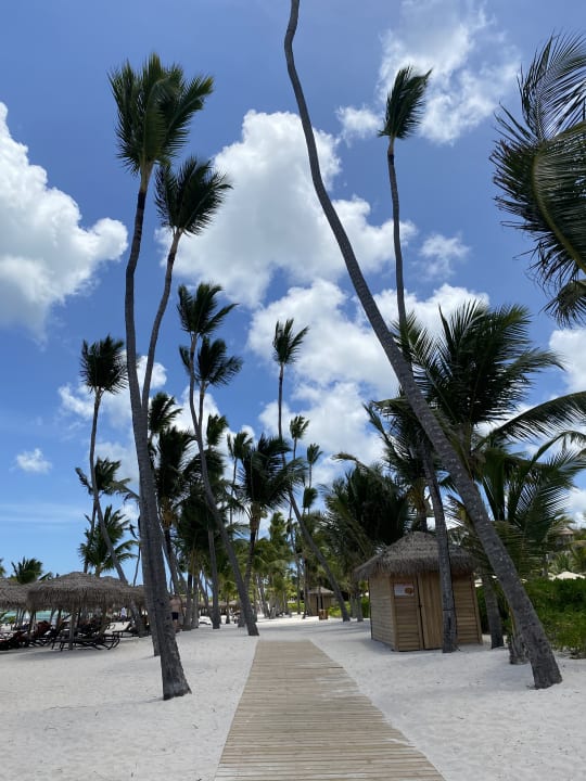 Strand Lopesan Costa Bávaro Resort, Spa & Casino
