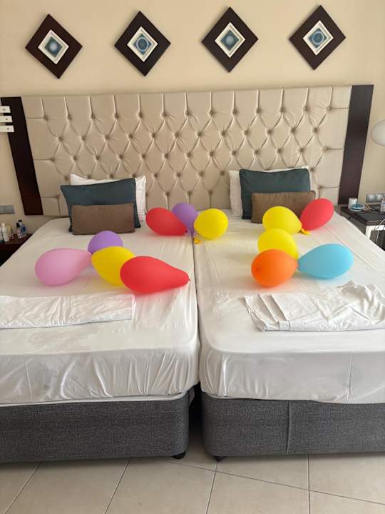 Zimmer Kamelya Aishen Club