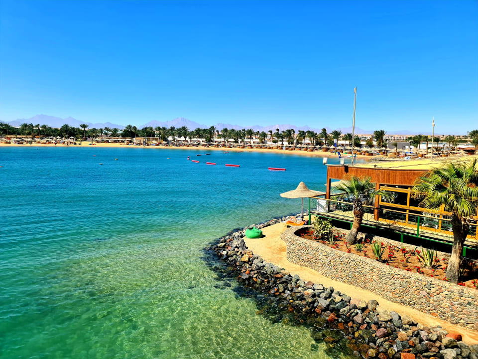 Ausblick Desert Rose
