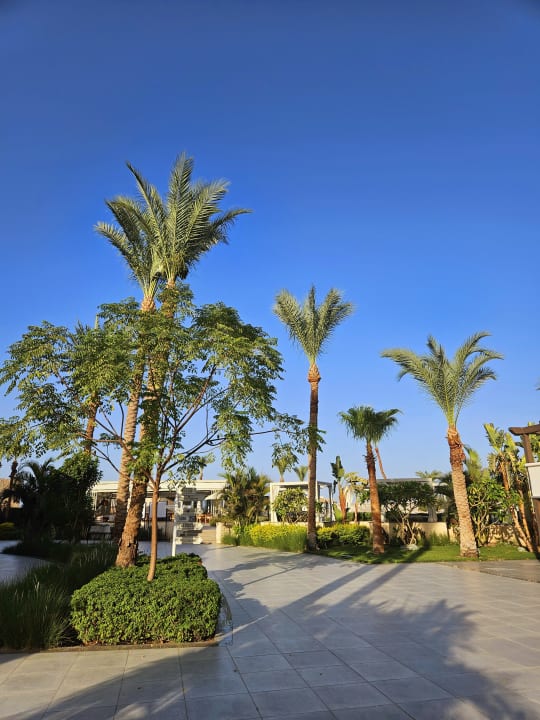 Gartenanlage JAZ Elite Casa del Mar Beach