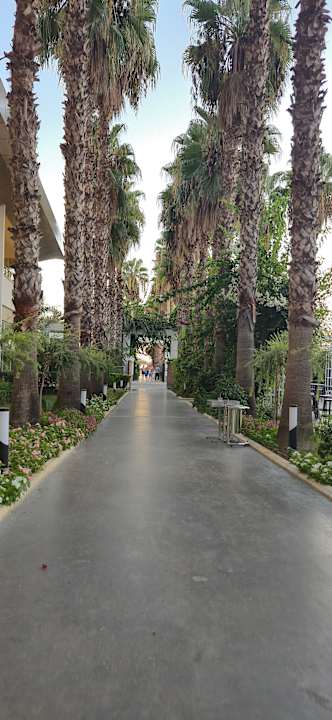 Außenansicht Hotel Royal Garden Beach