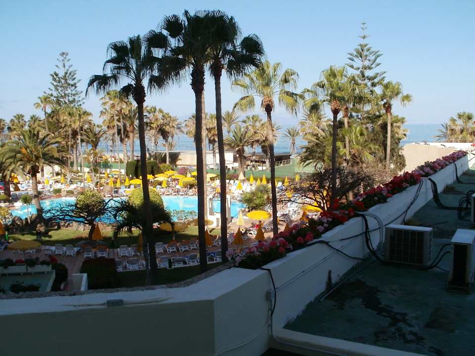 Widok na basen H10 Las Palmeras