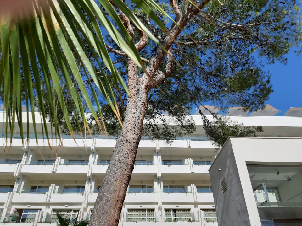 Außenansicht allsun Hotel Bella Paguera