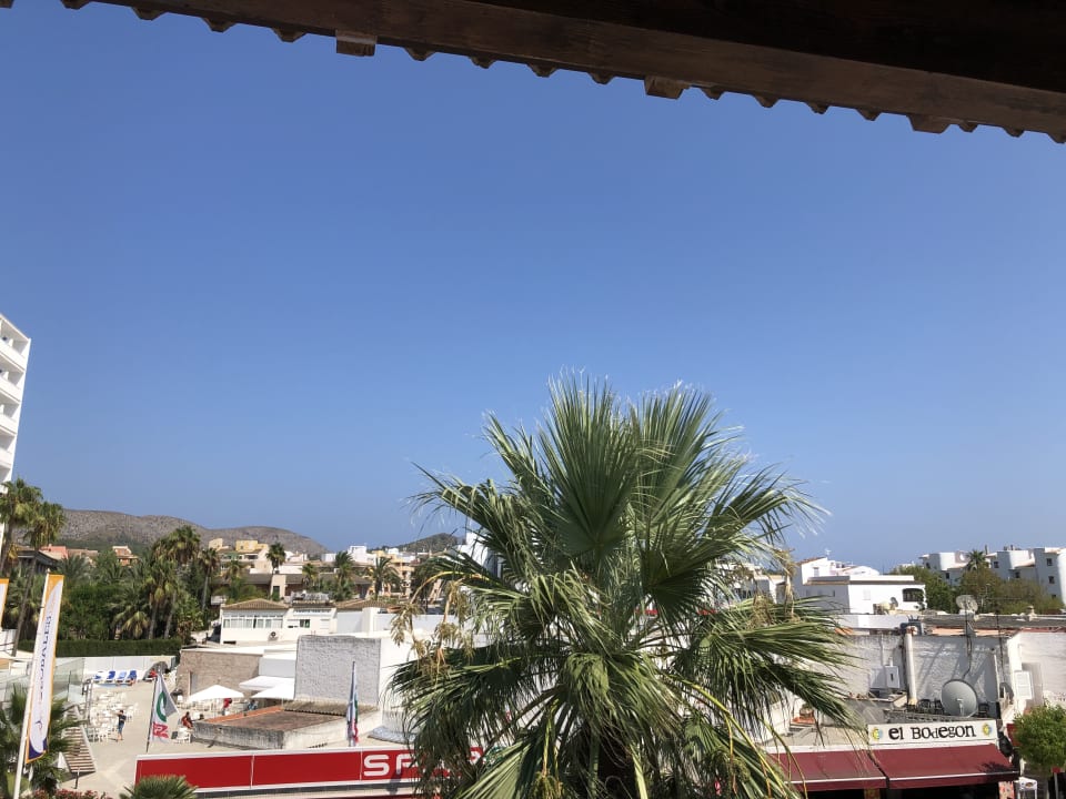 Ausblick Alcudia Garden Aparthotel