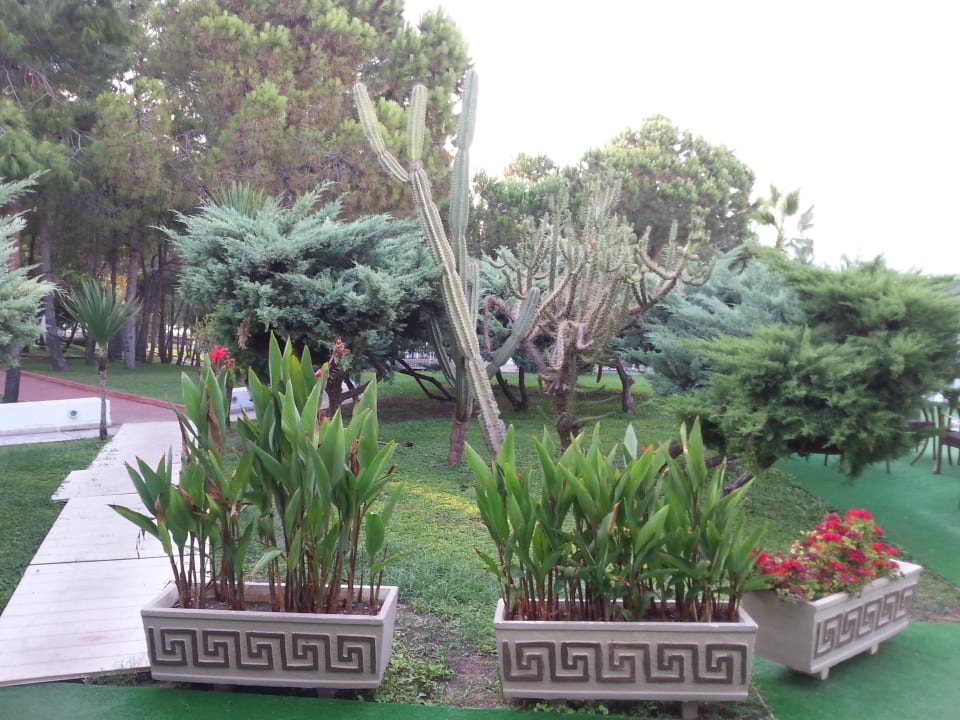 Infrastruktura Monachus Family Resort Sorgun