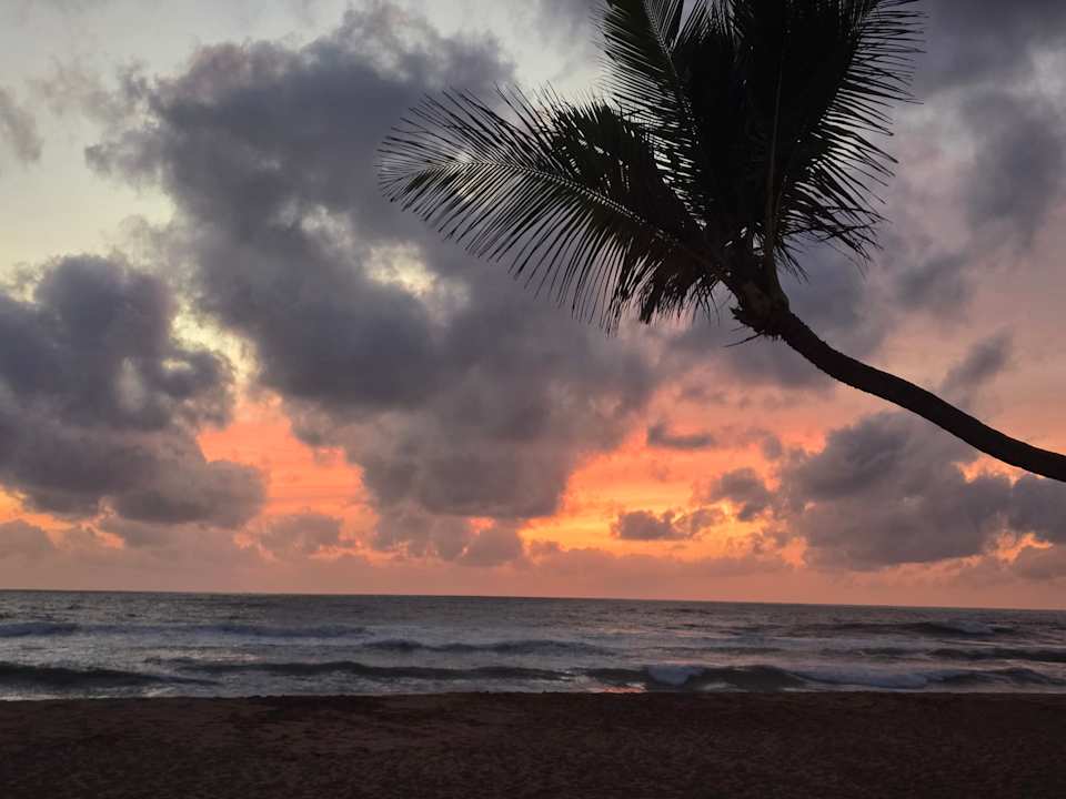 Strand Pandanus Beach Resort & Spa