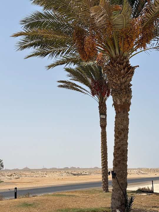 Sonstiges Coral Hills Resorts & SPA