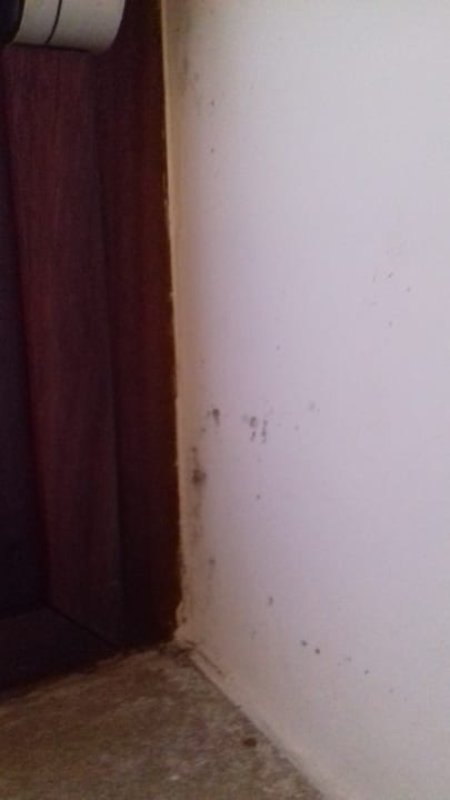 Zimmer Hotel Palacio Ca Sa Galesa