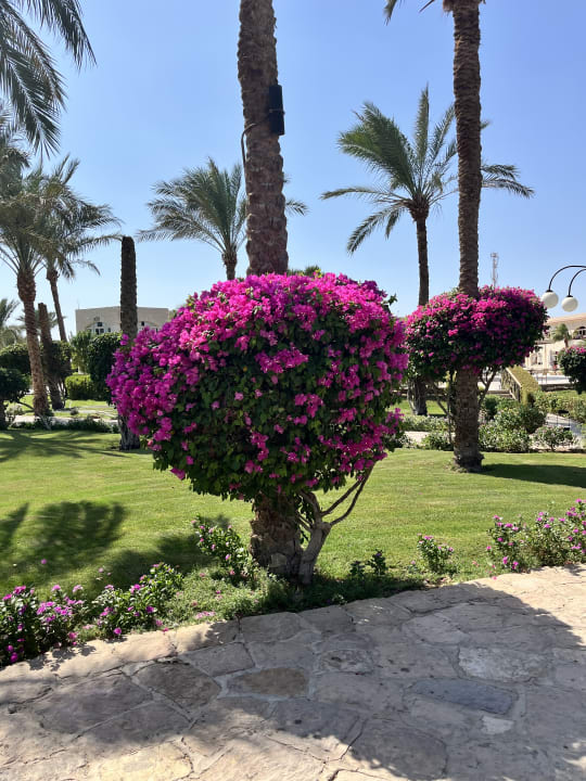 Gartenanlage Brayka Bay Resort