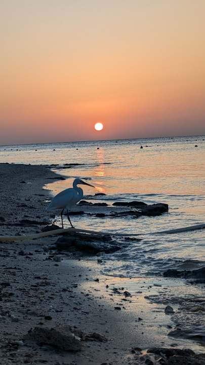 Strand Brayka Bay Resort