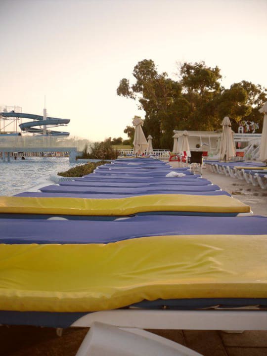 Liegen am Pool Samira Club