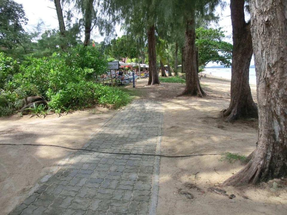 Weg hinter dem Hotel Hive Khaolak Beach Resort
