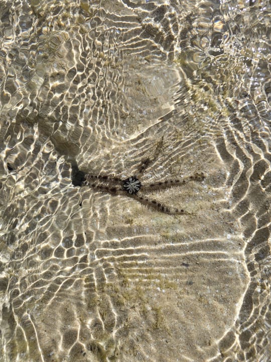 Strand Grand Waterworld Makadi