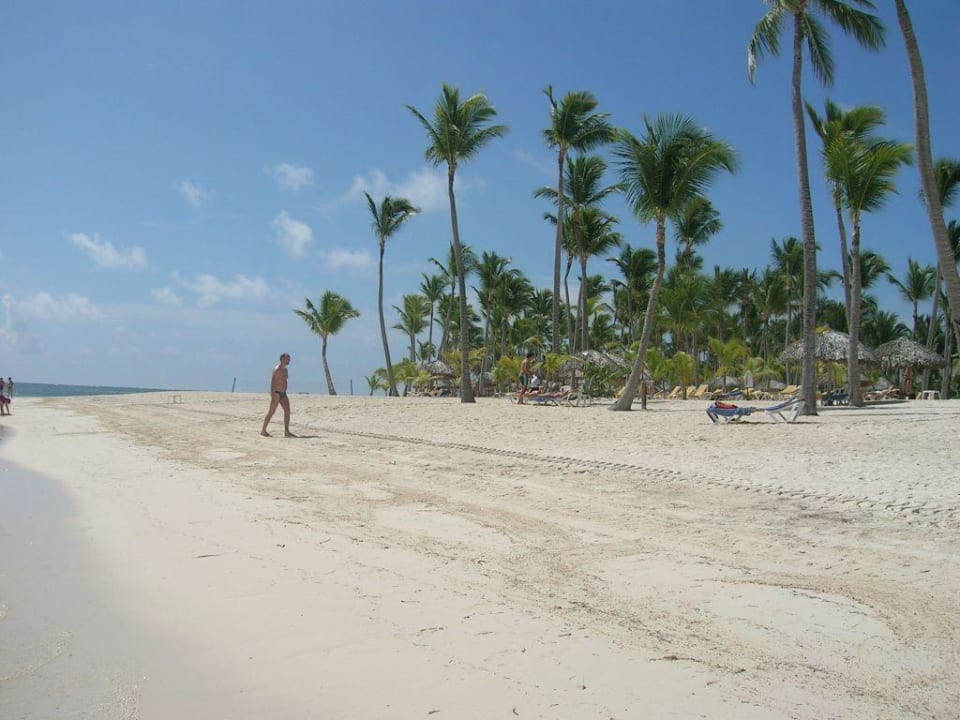 Traumstrand Catalonia Punta Cana - All Inclusive