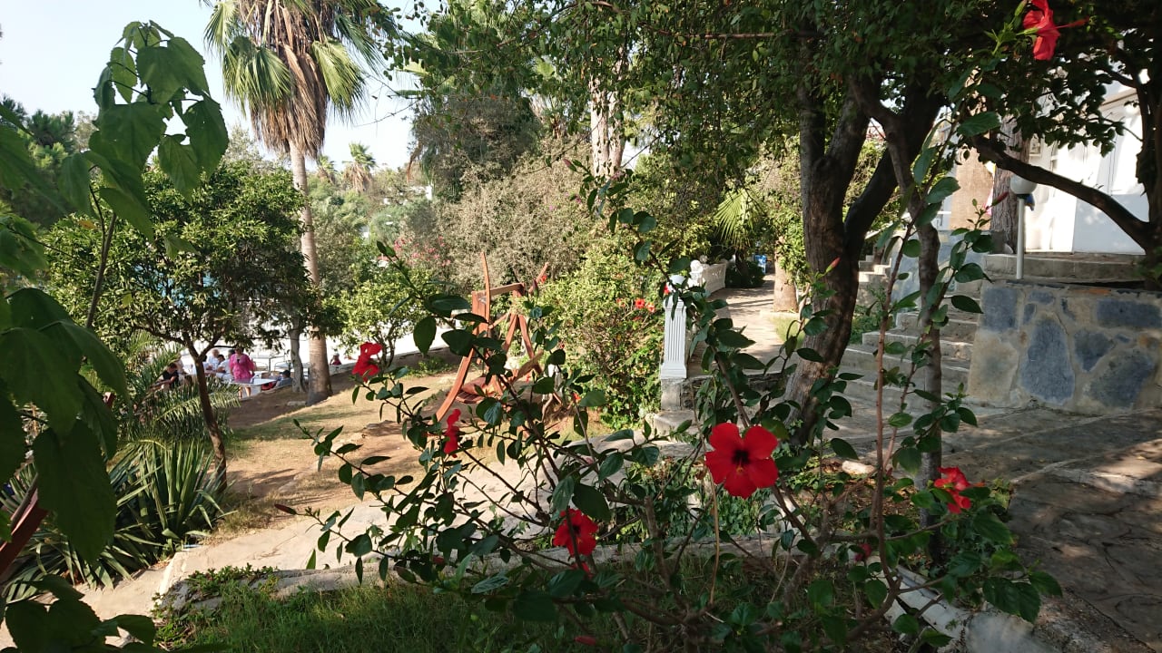 Außenansicht Greenport Bodrum Hotel