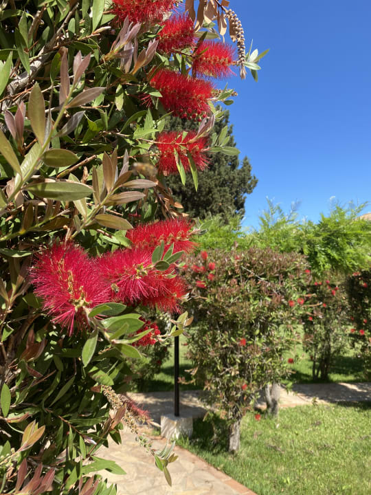 Gartenanlage BV Borgo del Principe