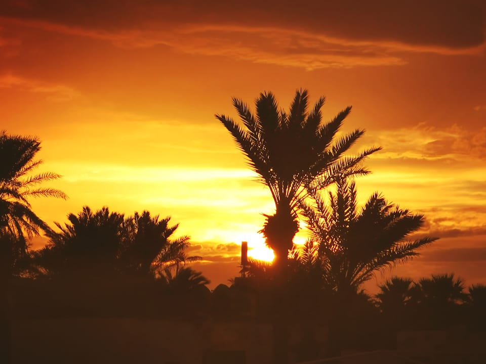 Strand Calimera One Resort Jockey