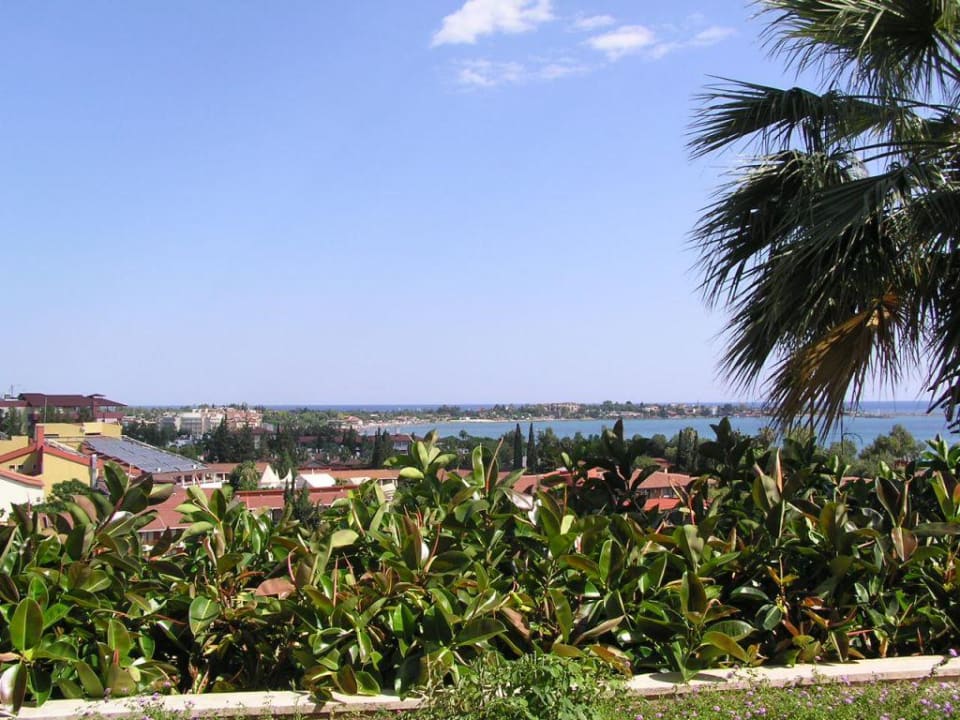 Blick auf Side Side Star Elegance