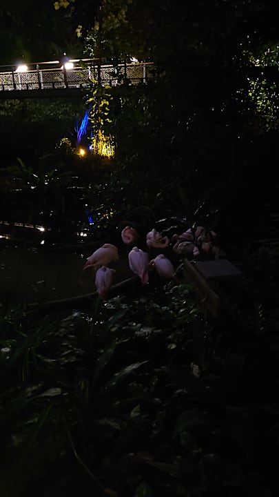 Gartenanlage Tropical Islands Resort