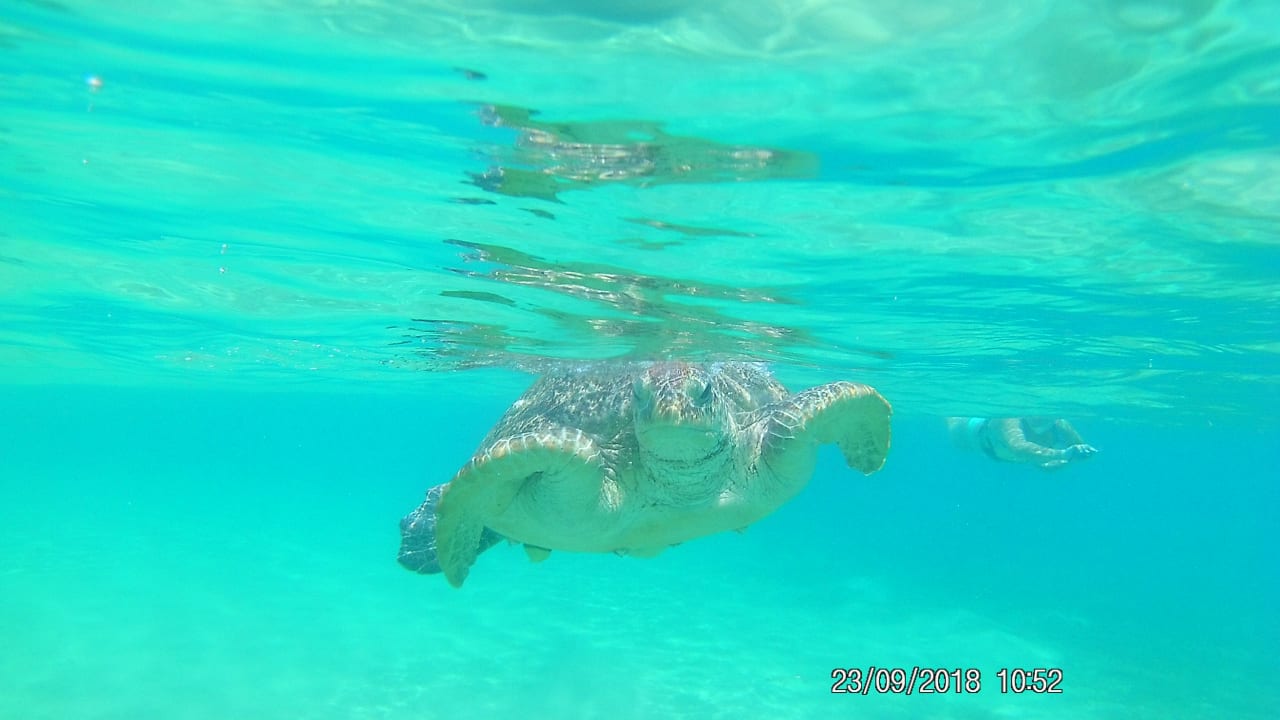 Sport & Freizeit Menaville Safaga