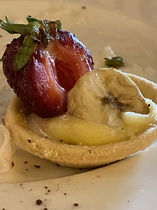 Gastro Seashell Vega