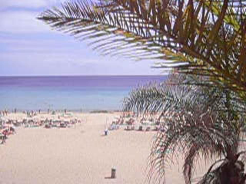 Blick aus Zimmer C105 Hotel Riu Palace Jandia