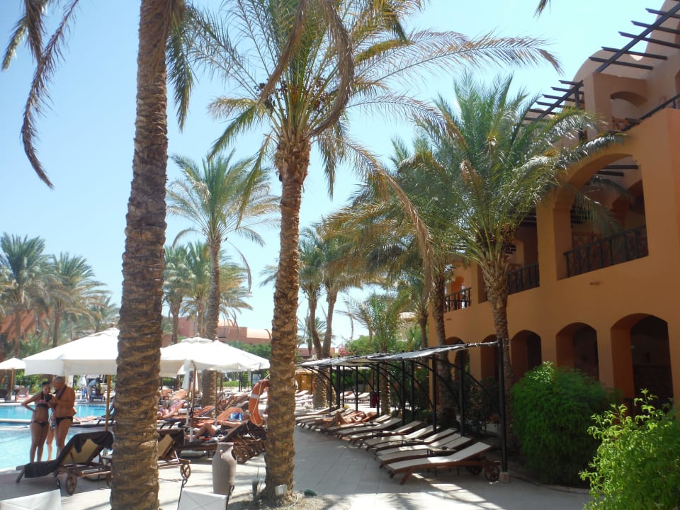 Schön Jaz Makadi Blue - TUI BLUE Makadi - Adults Friendly 16 Years Plus