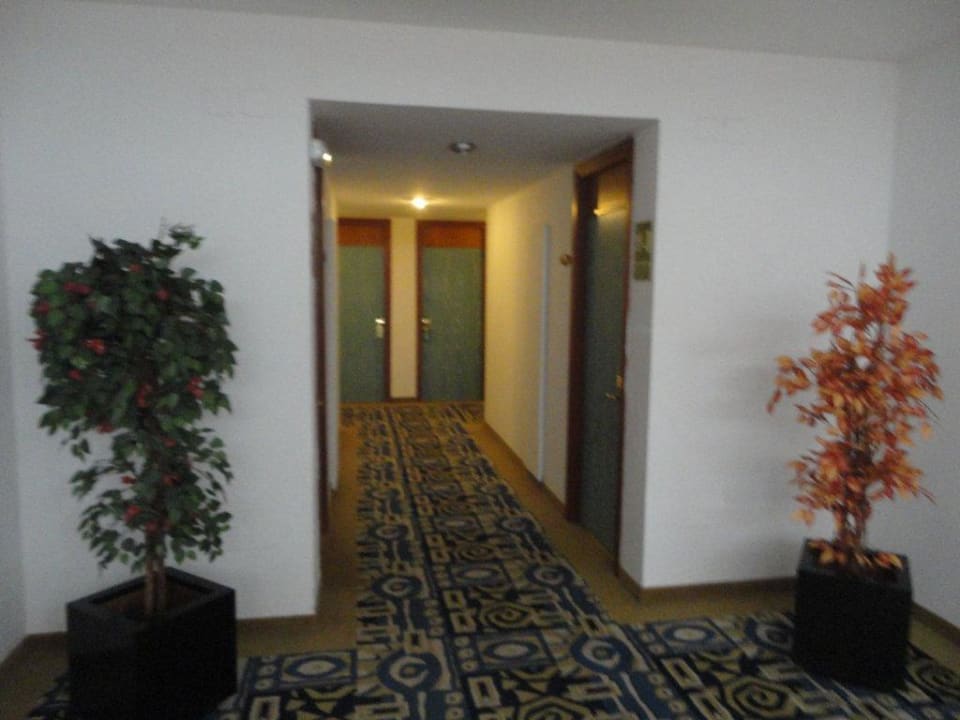 Lobby Globales Maioris