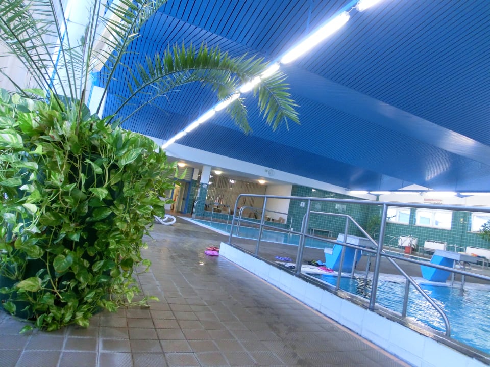 Pool AHORN Berghotel Friedrichroda