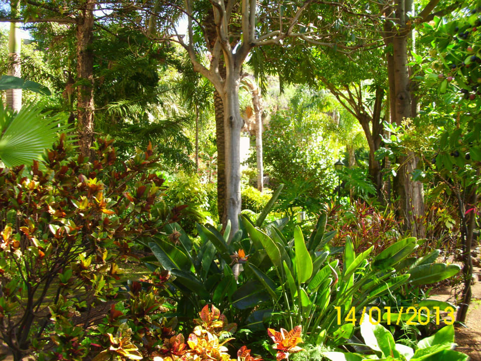 Gartenparadies BLUESEA Costa Jardin Spa