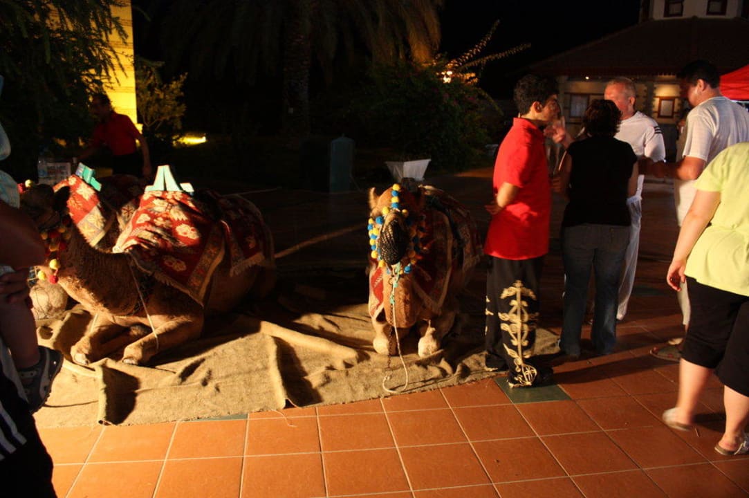 Club Ali Bey Manavgat Ali Bey Club